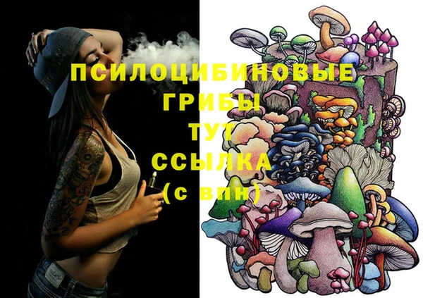 спайс Абдулино
