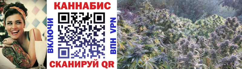 Бошки Шишки MAZAR  kraken рабочий сайт  Карабаново  купить закладку 